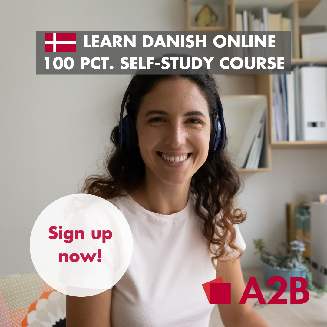 BOOK online Danish selfstudy course now Learn Danish online for